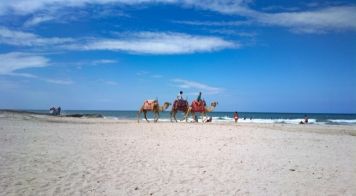 beach bucket list